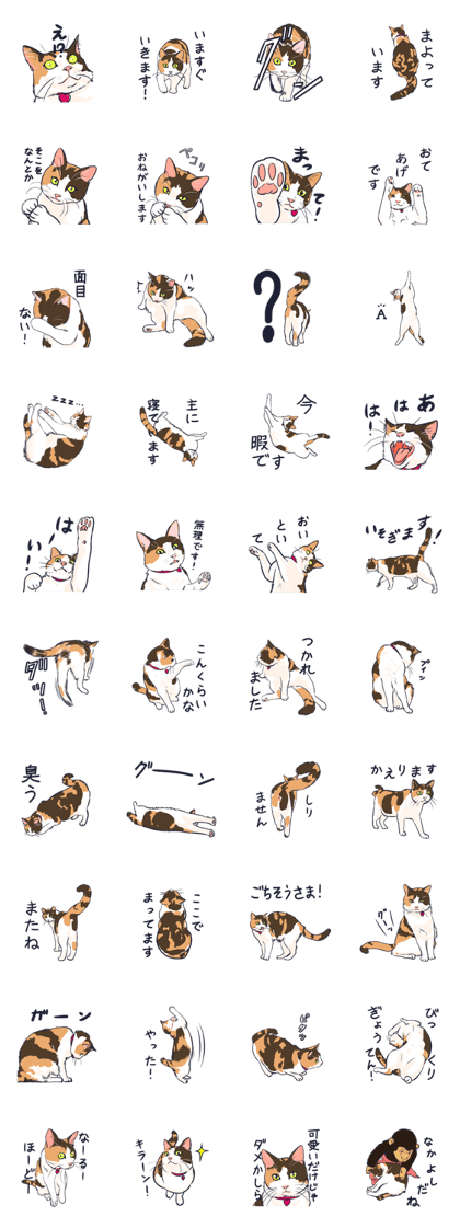 Rendezvous with my cat. Rendezvous with my cat.