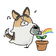 cute corgi cute corgi