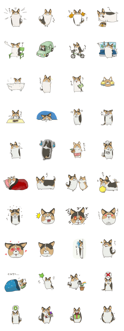 cute corgi cute corgi