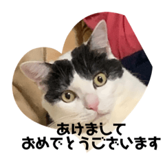 Tono_20200227170212