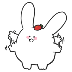 Angora rabbit berry