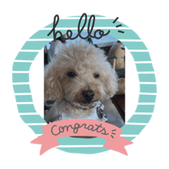 YUKARI_20200227180152