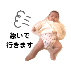 melon_20200227184641