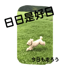 YUKARI_20200227204806