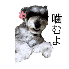 orange_20200227212238