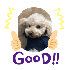 YUKARI_20200227220317