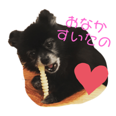 Mamimu-_20200227225120