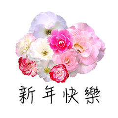節日快樂花系列