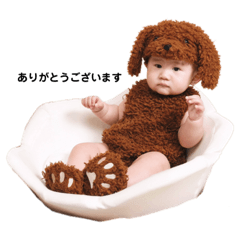 haruharu202002271211