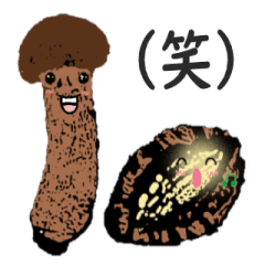 Japanese food matsutake and abalone