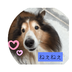 Rei_20200228155219