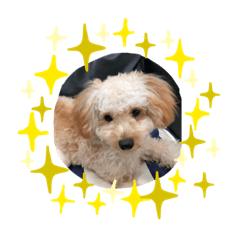 yukari_20200228193356