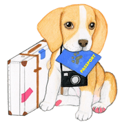 Taiwan travel of beagle dogs
