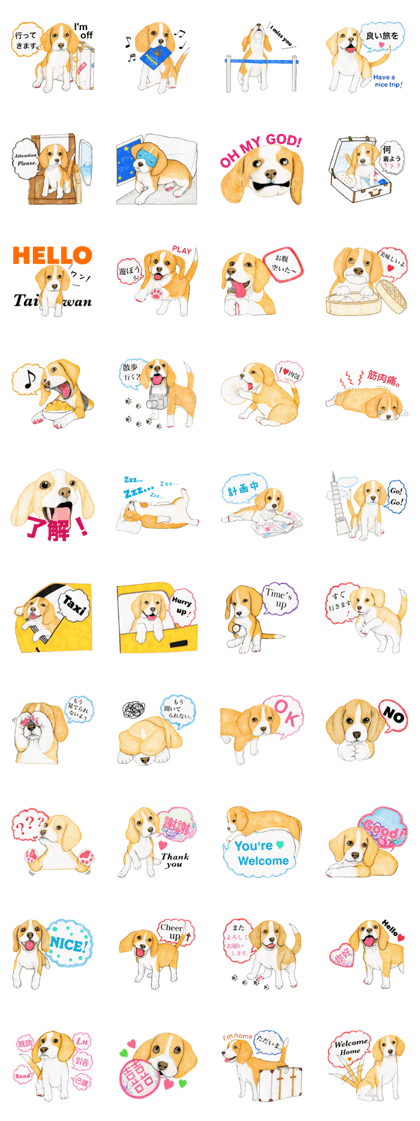 Taiwan travel of beagle dogs