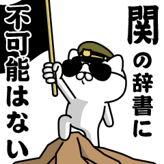 "SEKI"name/Military cat