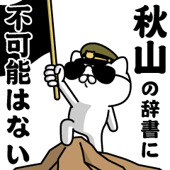 "AKIYAMA"name/Military cat