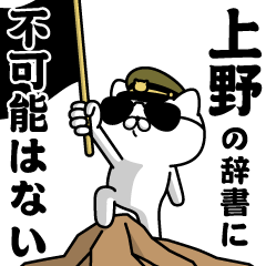 "UENO"name/Military cat