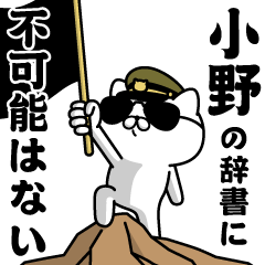 "ONO"name/Military cat