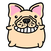 Joy's French Bulldog World