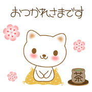 The polite and courteous white cat