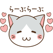 face of cat