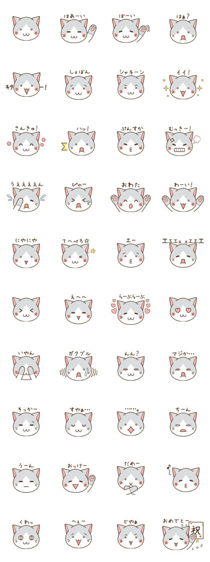 face of cat