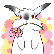 MOHU-MOHU-RABBITS