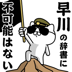 "HAYAKAWA"name/Military cat