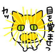 Mapu of a cat