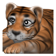 Tiger cub, Torakichi