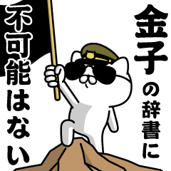 "KANEKO"name/Military cat