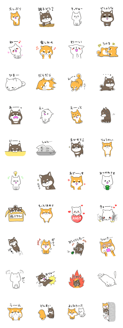 My Shiba dog 2