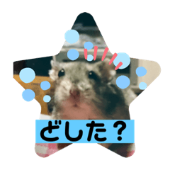 kurumi_20200228202930