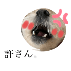 動物 Lineクリエイターズスタンプまとめ Stamplist Part 108 動物 Lineクリエイターズスタンプまとめ Stamplist Part 108