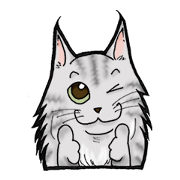 MaineCoon Cat  MUNI