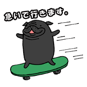 Japanese Black pugs