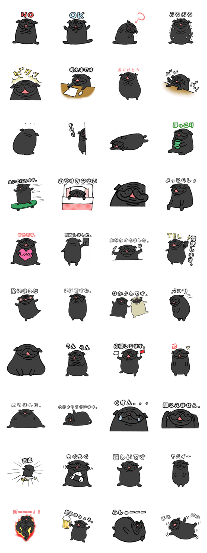 Japanese Black pugs