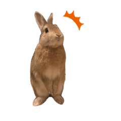 PIPPI_Rabbit_