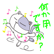 Tama of the stray cat