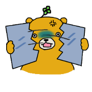 four leaf clover bear