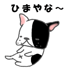 フレンチブルドッグ2 大阪弁パイド柄 Line スタンプ Line Store