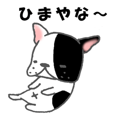 french bulldog stickers 2nd / pide