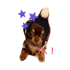 asuka_20200228215741