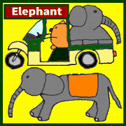Pretty Playful ELEPHANT