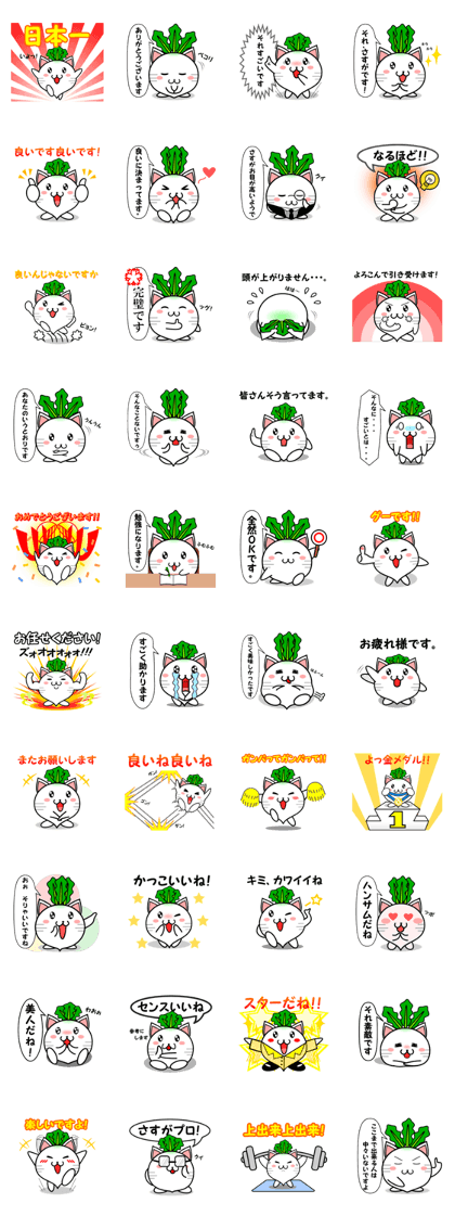 white turnip and cat