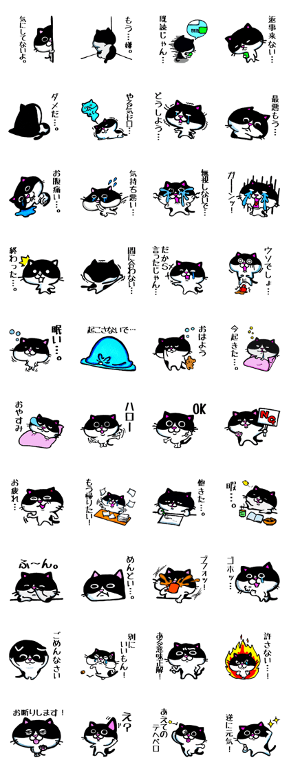 Little negative cat