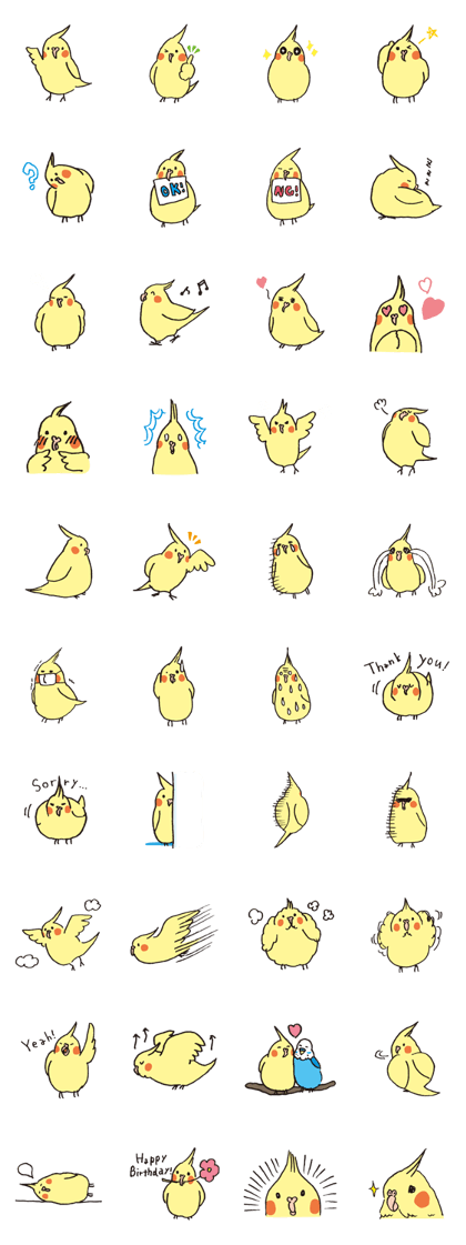 loose cockatiel