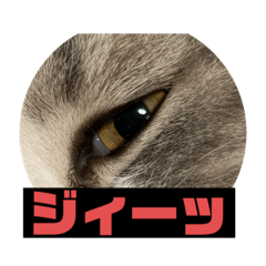 ponta_20200229015756