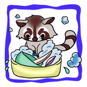 Cheerful raccoon