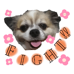 YUKARI_20200229081205